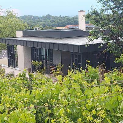 Terra Toscana Apartman Sárvár Eksteriør billede